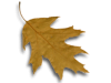 Captcha image 1969